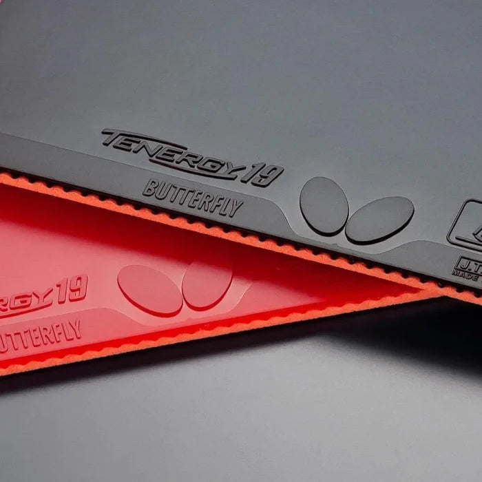Butterfly Tenergy 19
